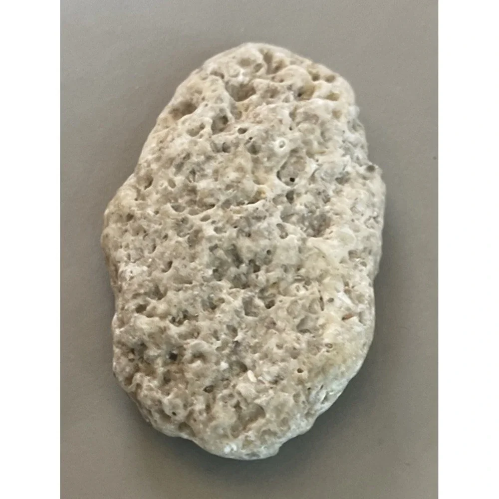 Fossilized Coral Natural Surf Tumbled 5.5